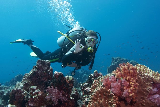 Plongée Antalya Kemer