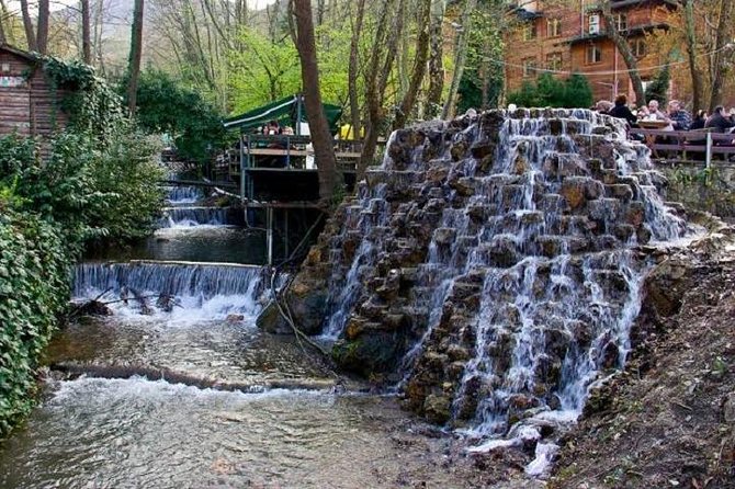 İstanbul'dan Sapanca & Maşukiye Turu